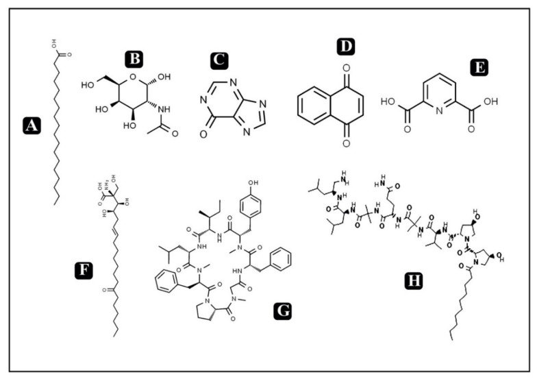 An external file that holds a picture, illustration, etc.
Object name is molecules-25-02735-g002.jpg