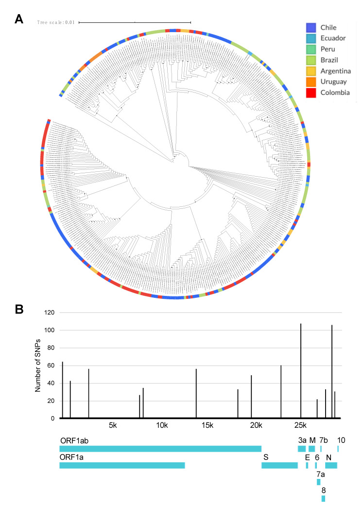 An external file that holds a picture, illustration, etc.
Object name is pathogens-09-00580-g004.jpg