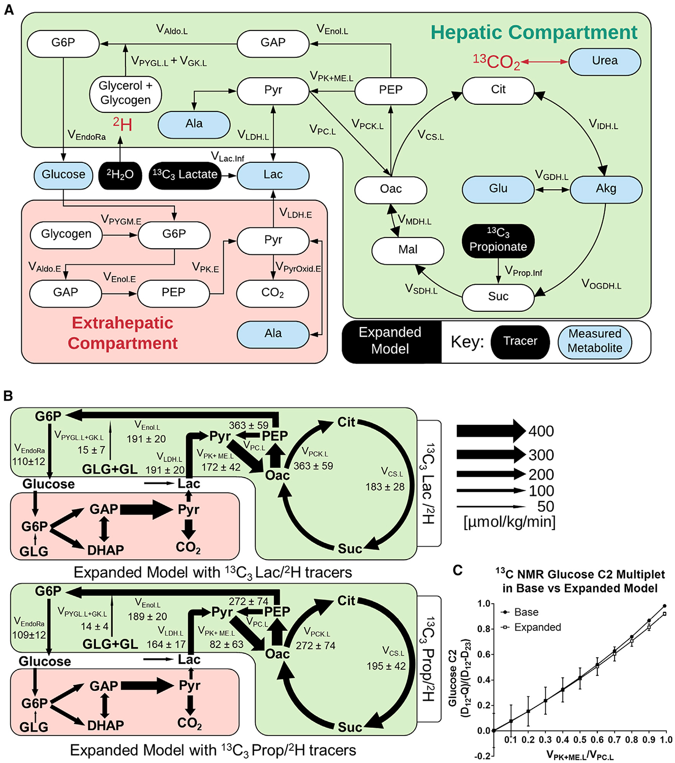 An external file that holds a picture, illustration, etc.
Object name is nihms-1617873-f0006.jpg