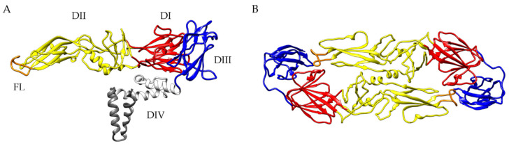 An external file that holds a picture, illustration, etc.
Object name is vaccines-08-00451-g001.jpg