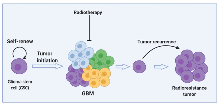 An external file that holds a picture, illustration, etc.
Object name is cancers-12-02511-g003.jpg