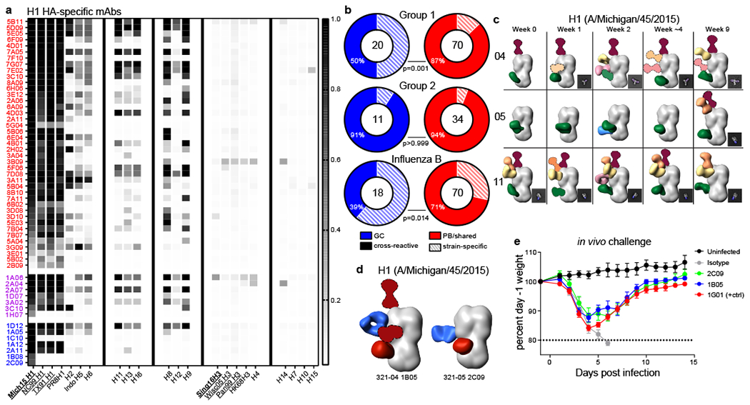 An external file that holds a picture, illustration, etc.
Object name is nihms-1622373-f0004.jpg