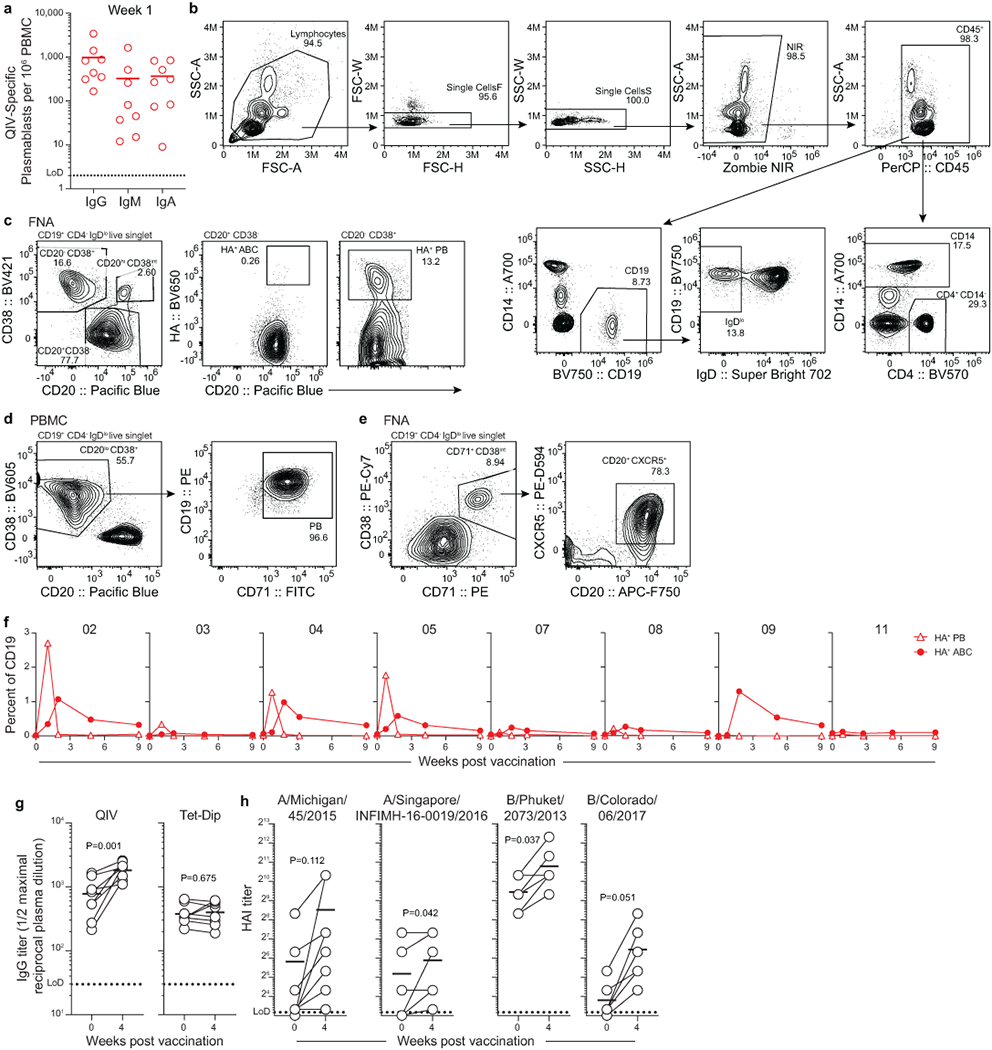 An external file that holds a picture, illustration, etc.
Object name is nihms-1622373-f0005.jpg