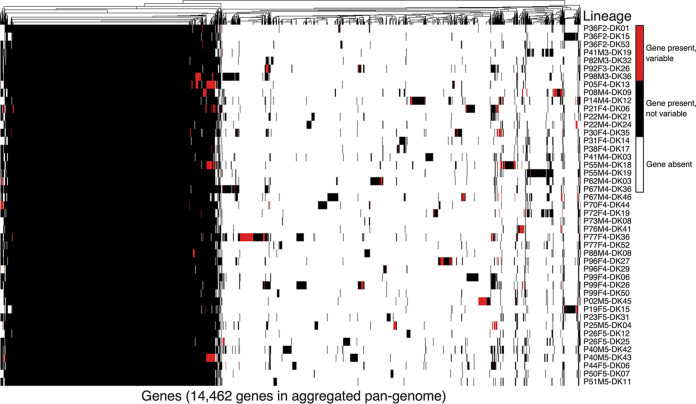 An external file that holds a picture, illustration, etc.
Object name is mBio.02359-20-f0002.jpg