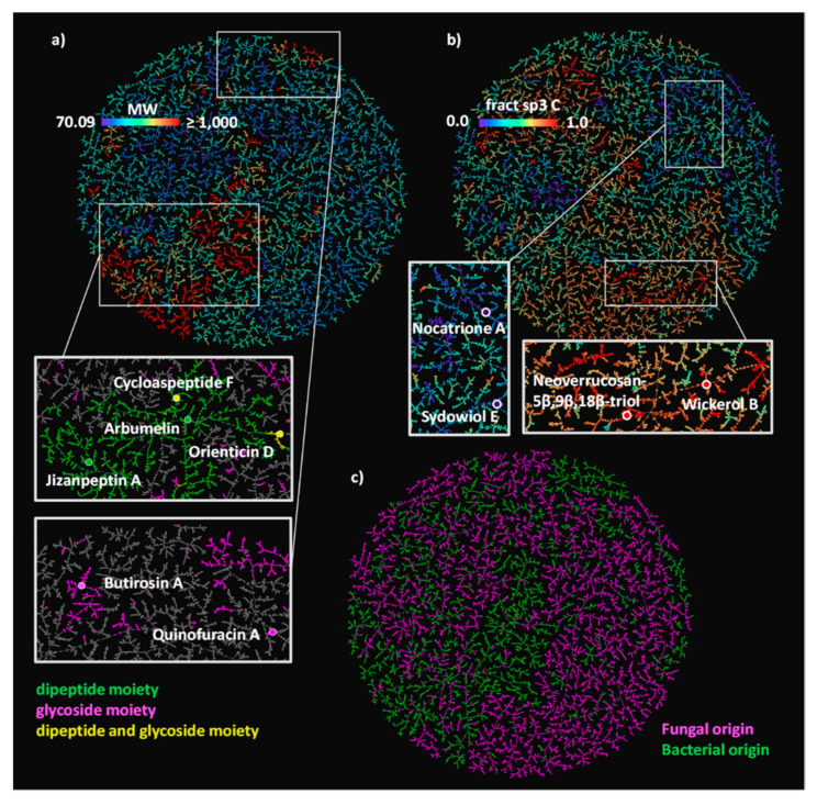 An external file that holds a picture, illustration, etc.
Object name is biomolecules-10-01385-g001.jpg