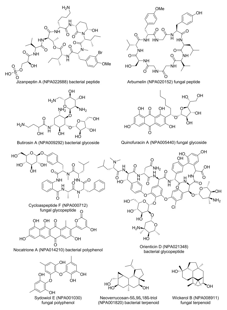 An external file that holds a picture, illustration, etc.
Object name is biomolecules-10-01385-g002.jpg