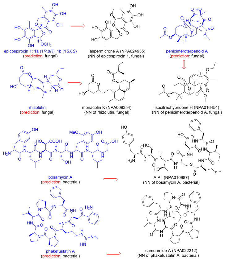 An external file that holds a picture, illustration, etc.
Object name is biomolecules-10-01385-g003.jpg