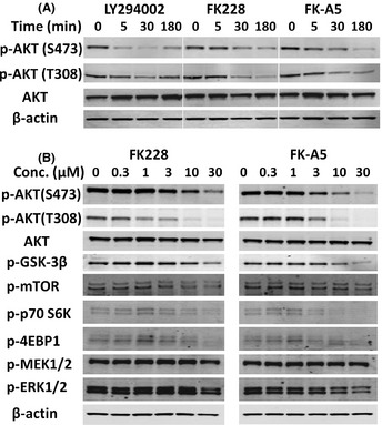 An external file that holds a picture, illustration, etc.
Object name is CAS-103-1994-g006.jpg