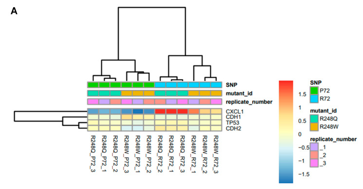 An external file that holds a picture, illustration, etc.
Object name is ijms-21-08025-g002a.jpg