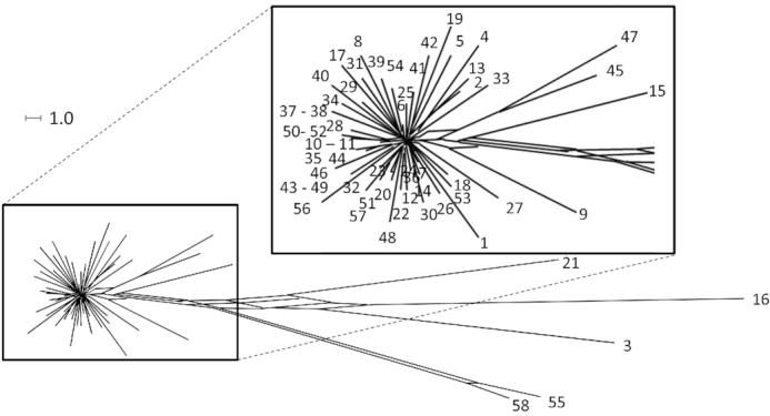 An external file that holds a picture, illustration, etc.
Object name is fuaa029fig6.jpg