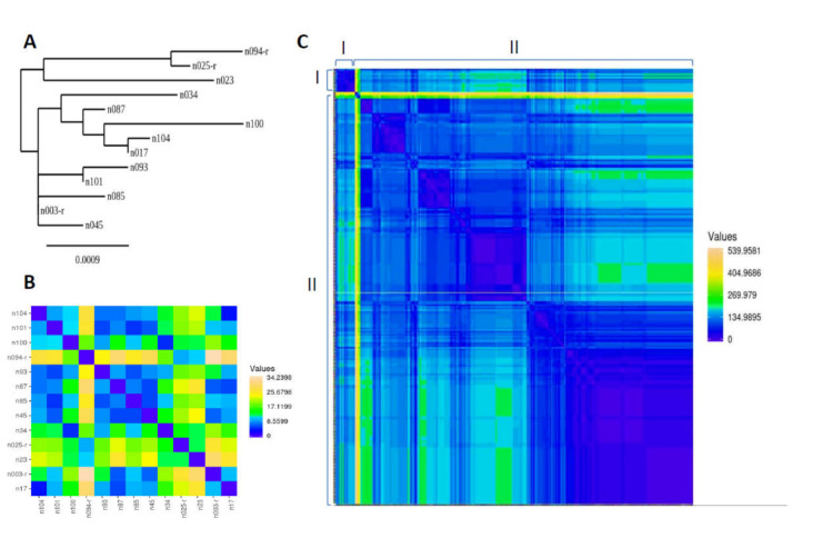 An external file that holds a picture, illustration, etc.
Object name is viruses-12-01215-g002.jpg