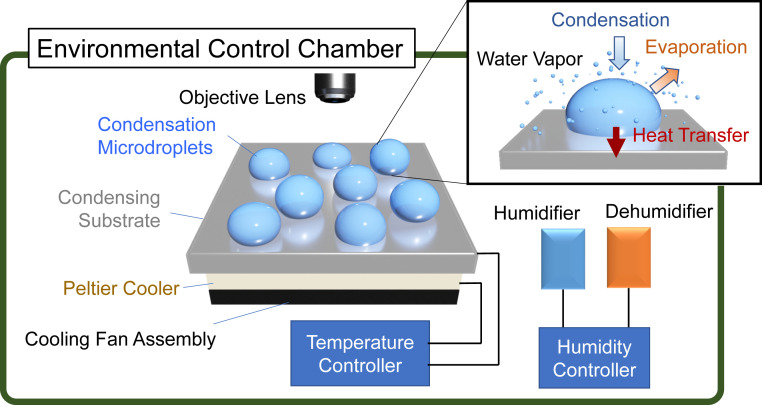 An external file that holds a picture, illustration, etc.
Object name is pnas.2020158117fig01.jpg