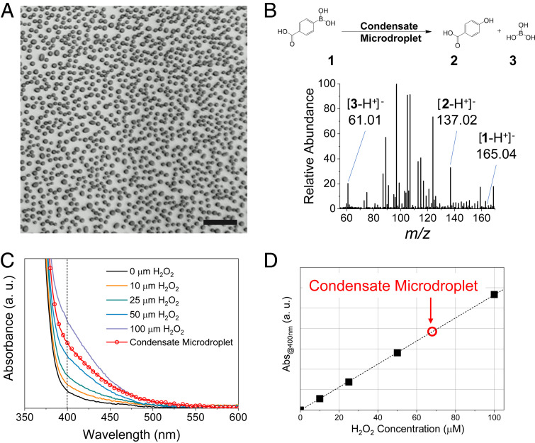 An external file that holds a picture, illustration, etc.
Object name is pnas.2020158117fig02.jpg