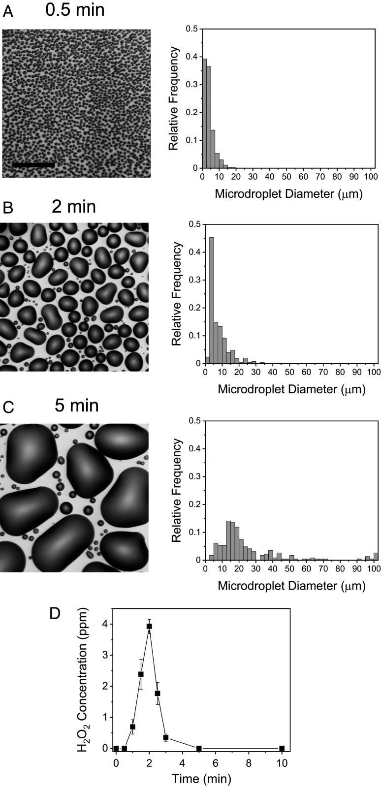 An external file that holds a picture, illustration, etc.
Object name is pnas.2020158117fig03.jpg