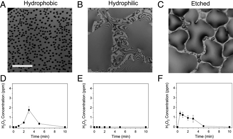 An external file that holds a picture, illustration, etc.
Object name is pnas.2020158117fig04.jpg