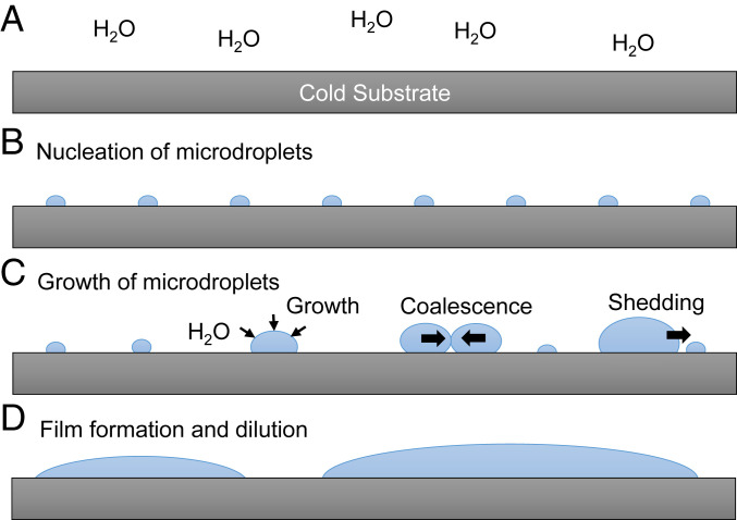 An external file that holds a picture, illustration, etc.
Object name is pnas.2020158117fig06.jpg