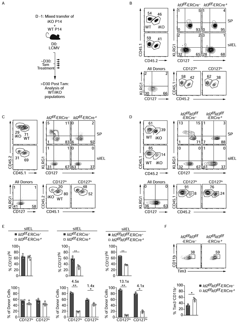 An external file that holds a picture, illustration, etc.
Object name is nihms-1649974-f0006.jpg