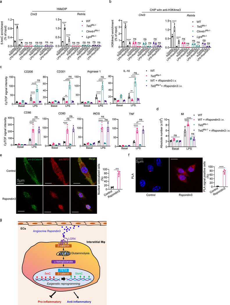 An external file that holds a picture, illustration, etc.
Object name is nihms-1660621-f0014.jpg