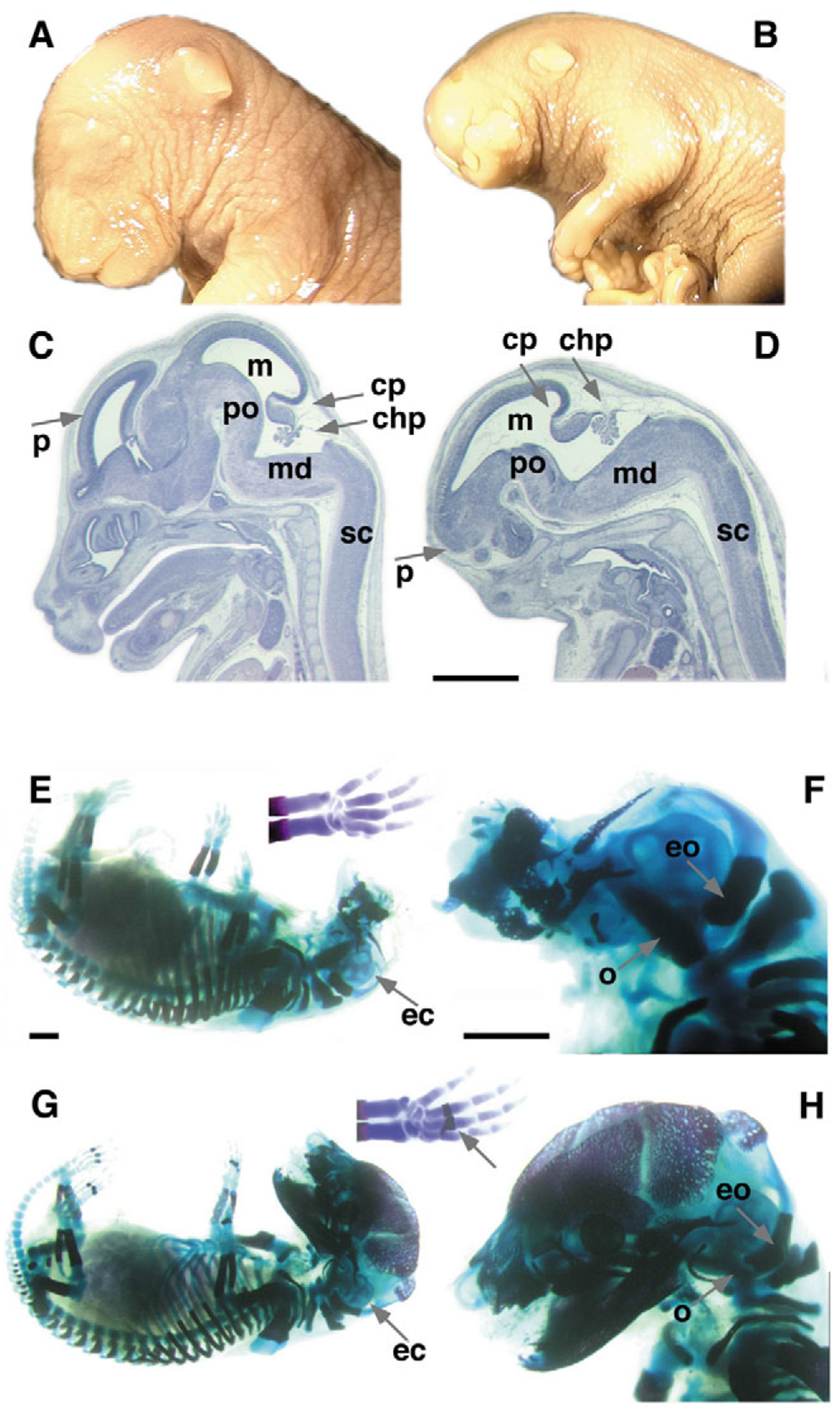 An external file that holds a picture, illustration, etc.
Object name is nihms-1664623-f0003.jpg