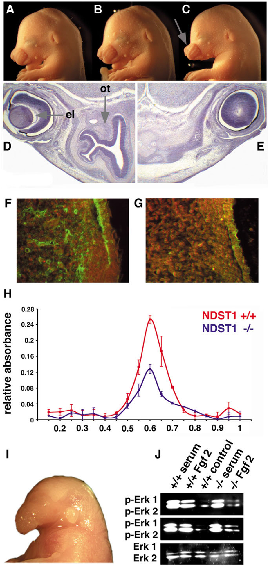 An external file that holds a picture, illustration, etc.
Object name is nihms-1664623-f0004.jpg