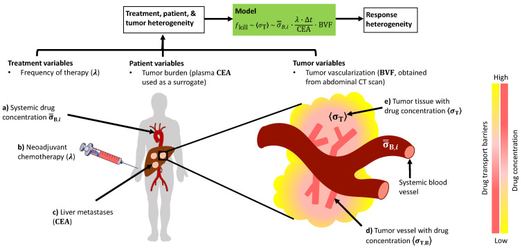 An external file that holds a picture, illustration, etc.
Object name is cancers-13-00444-g001.jpg