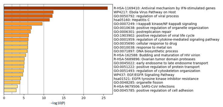 An external file that holds a picture, illustration, etc.
Object name is molecules-26-01200-g003.jpg