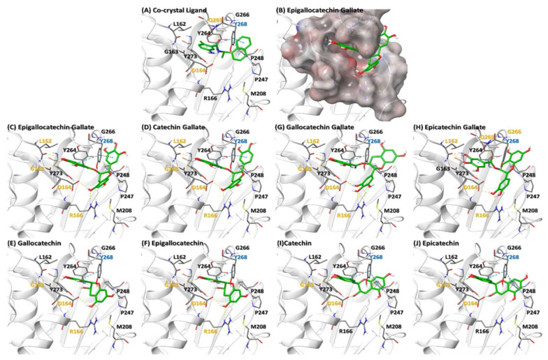 An external file that holds a picture, illustration, etc.
Object name is molecules-26-01200-g005.jpg