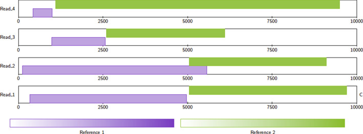 An external file that holds a picture, illustration, etc.
Object name is 12859_2021_4056_Fig3_HTML.jpg