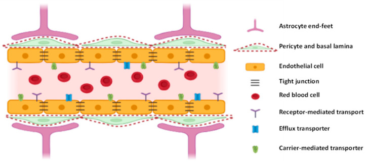 An external file that holds a picture, illustration, etc.
Object name is nanomaterials-11-00563-g001.jpg