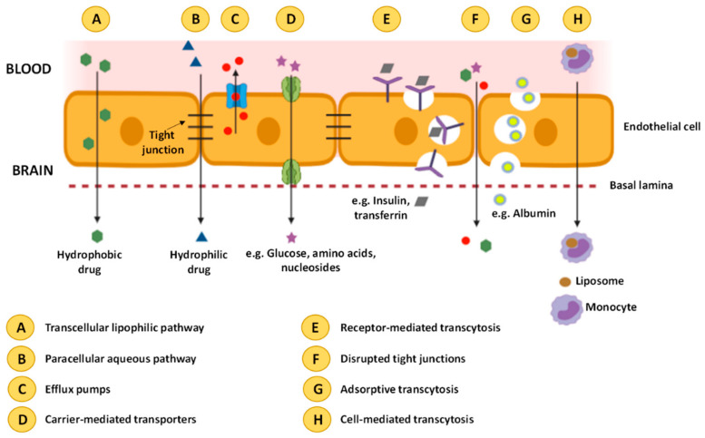 An external file that holds a picture, illustration, etc.
Object name is nanomaterials-11-00563-g002.jpg