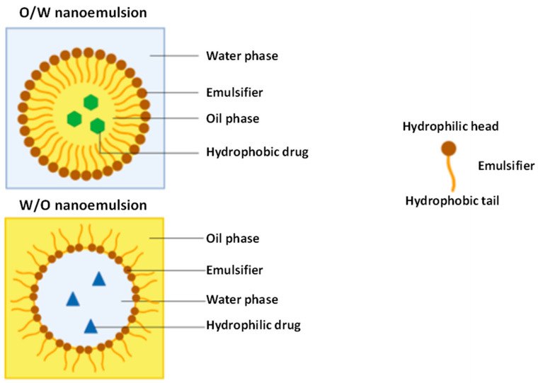 An external file that holds a picture, illustration, etc.
Object name is nanomaterials-11-00563-g003.jpg