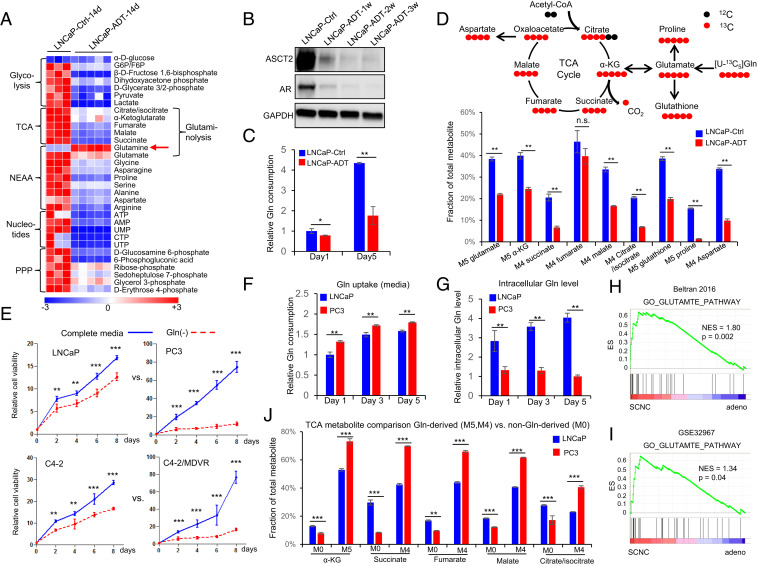 An external file that holds a picture, illustration, etc.
Object name is pnas.2012748118fig01.jpg