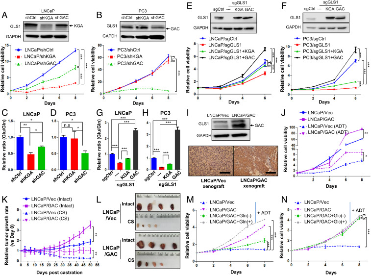 An external file that holds a picture, illustration, etc.
Object name is pnas.2012748118fig03.jpg