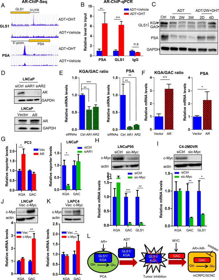 An external file that holds a picture, illustration, etc.
Object name is pnas.2012748118fig05.jpg