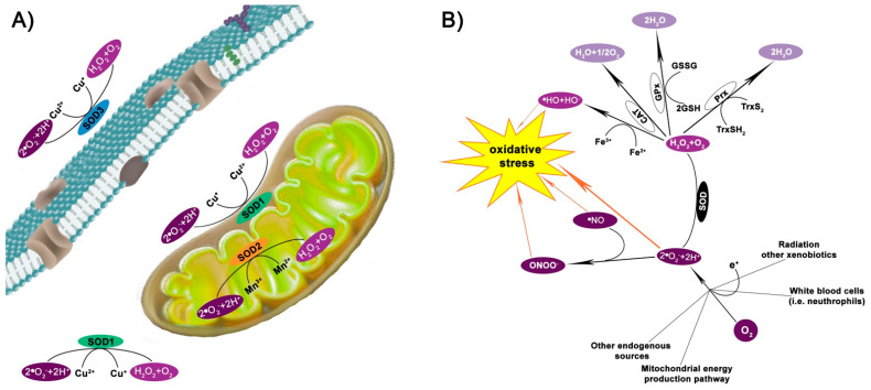 An external file that holds a picture, illustration, etc.
Object name is molecules-26-01844-g001.jpg