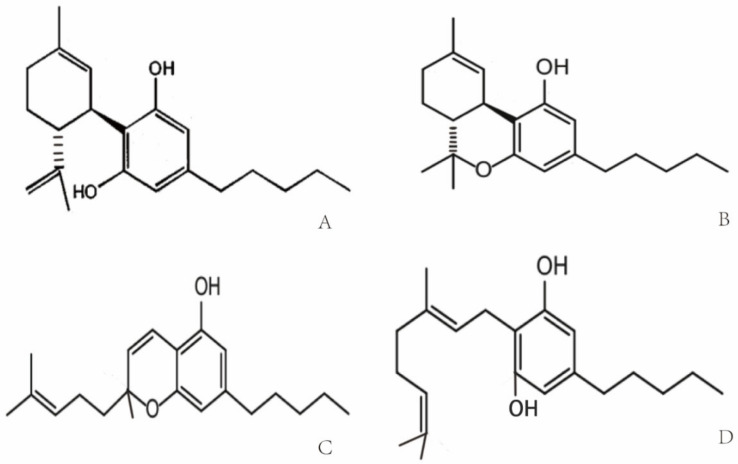 An external file that holds a picture, illustration, etc.
Object name is biomolecules-11-00582-g001.jpg