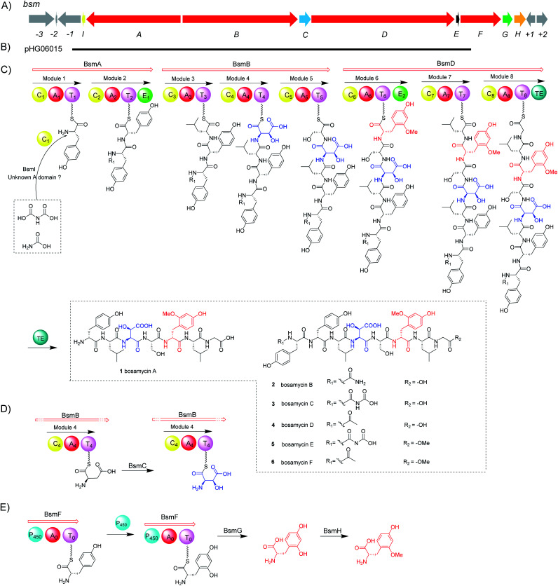 An external file that holds a picture, illustration, etc.
Object name is d0sc03469j-s1.jpg