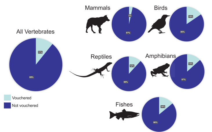 An external file that holds a picture, illustration, etc.
Object name is elife-68264-fig1.jpg