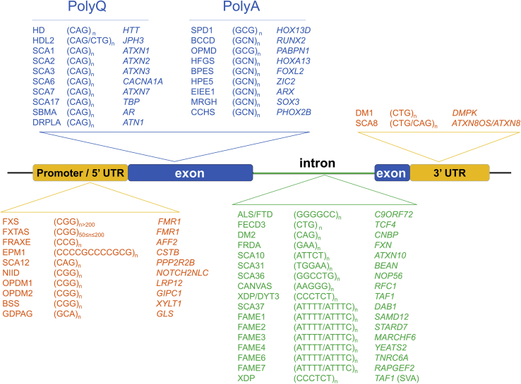 An external file that holds a picture, illustration, etc.
Object name is gr2.jpg