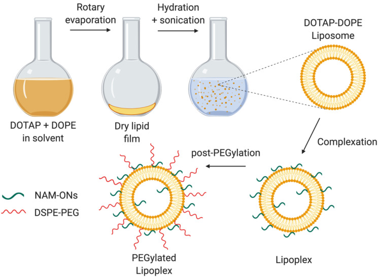 An external file that holds a picture, illustration, etc.
Object name is pharmaceutics-13-00989-g001.jpg