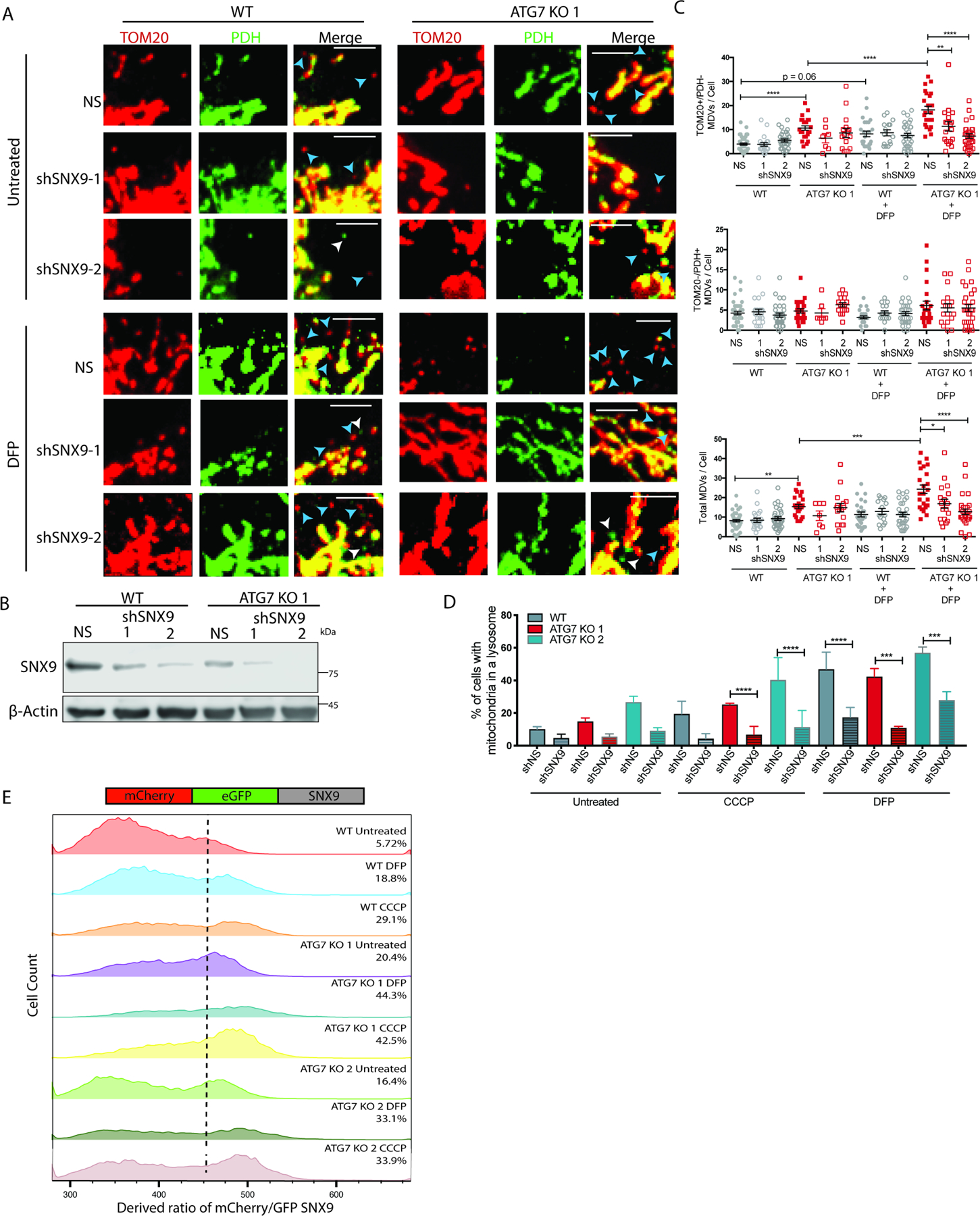 An external file that holds a picture, illustration, etc.
Object name is nihms-1720629-f0006.jpg