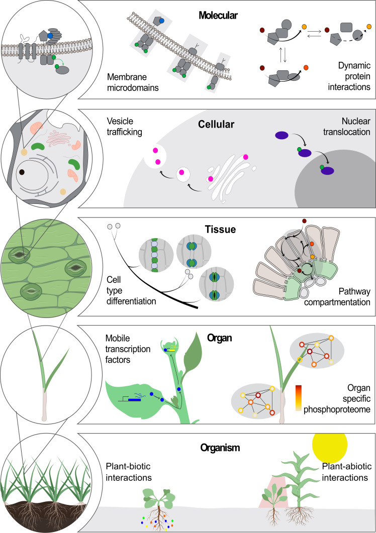 An external file that holds a picture, illustration, etc.
Object name is elife-66877-fig1.jpg