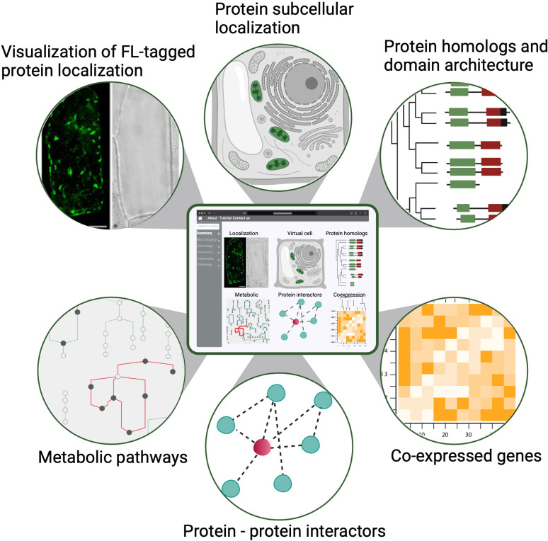 An external file that holds a picture, illustration, etc.
Object name is elife-66877-fig3.jpg