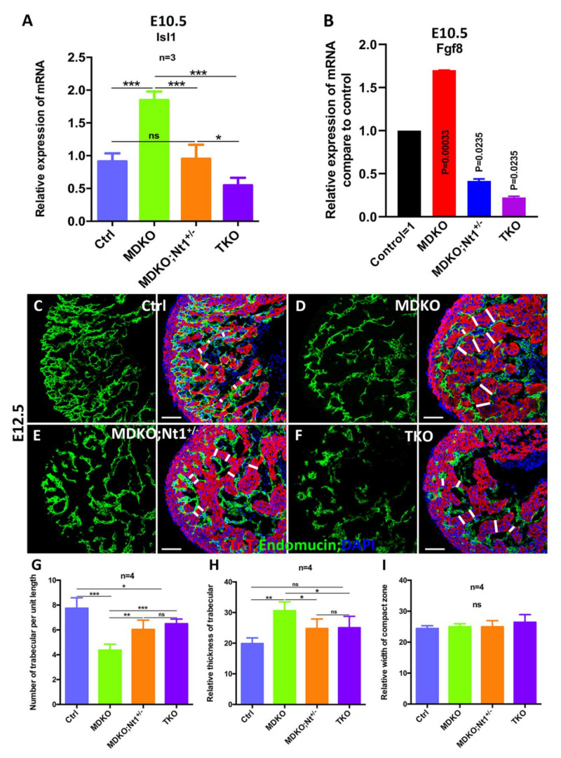 An external file that holds a picture, illustration, etc.
Object name is cells-10-02192-g005.jpg