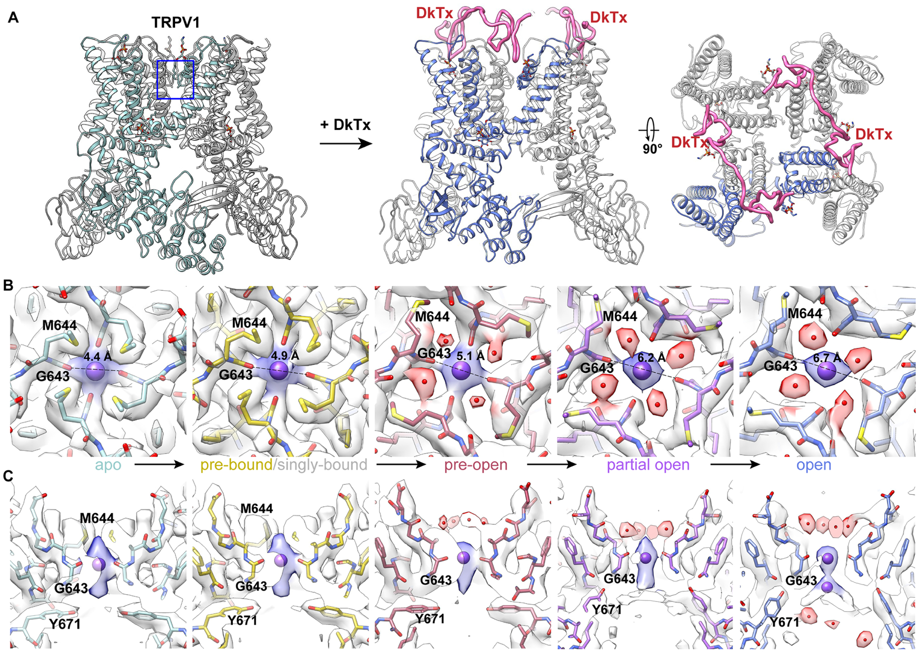 An external file that holds a picture, illustration, etc.
Object name is nihms-1737375-f0002.jpg