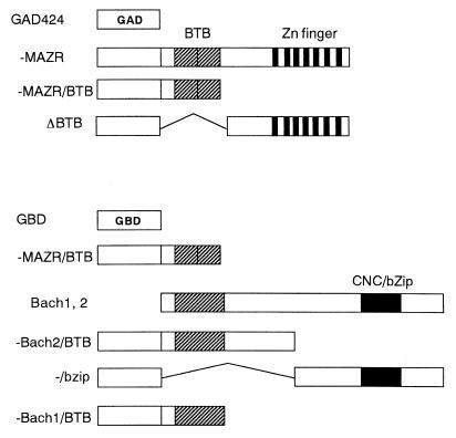 An external file that holds a picture, illustration, etc.
Object name is mb0501450005.jpg