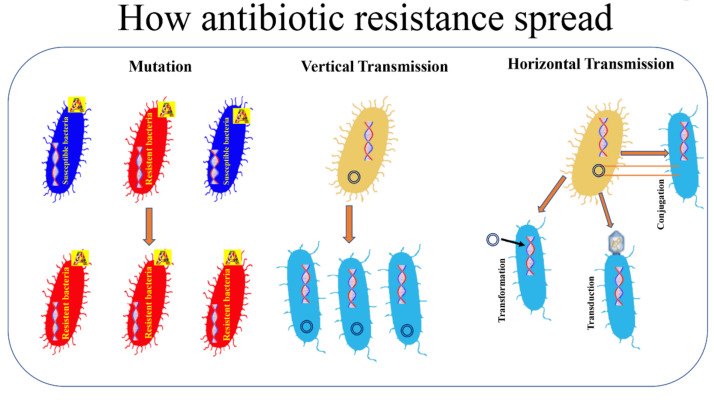 An external file that holds a picture, illustration, etc.
Object name is pathogens-10-01310-g001.jpg