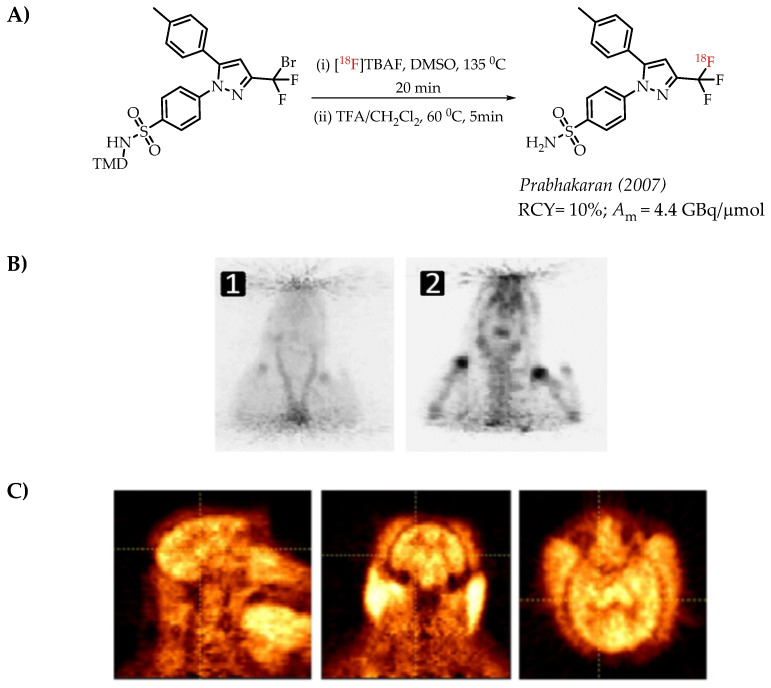 An external file that holds a picture, illustration, etc.
Object name is molecules-26-06478-g008.jpg