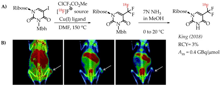 An external file that holds a picture, illustration, etc.
Object name is molecules-26-06478-g009.jpg