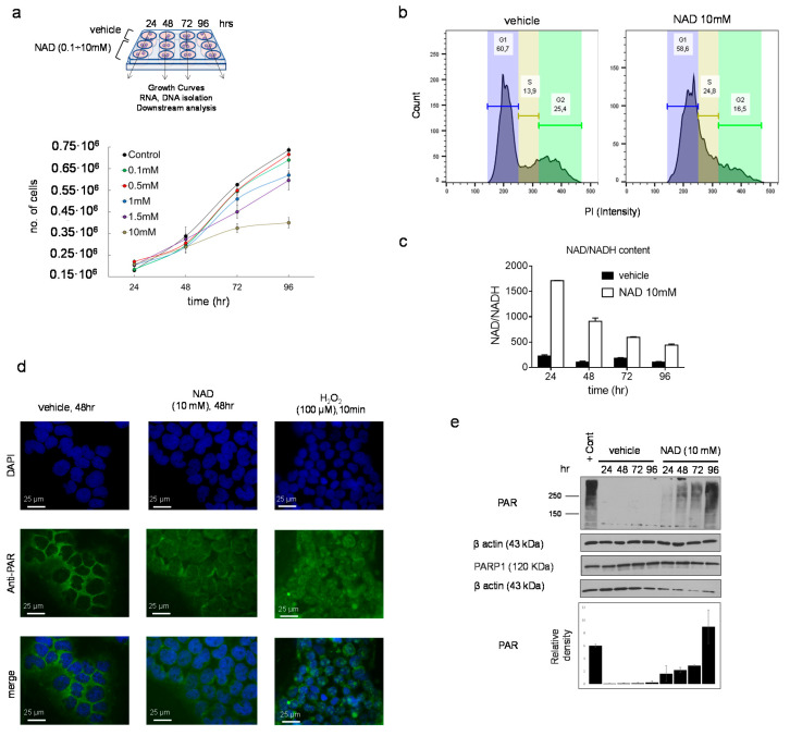 An external file that holds a picture, illustration, etc.
Object name is cells-10-02986-g001.jpg